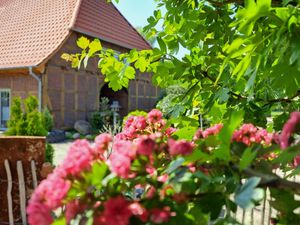 Ferienwohnung für 2 Personen (35 m&sup2;) in Ummern