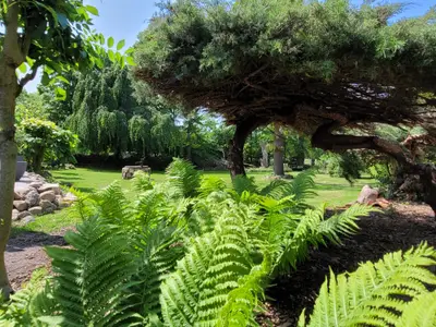 Mutti's Landhof - Blick in den Garten