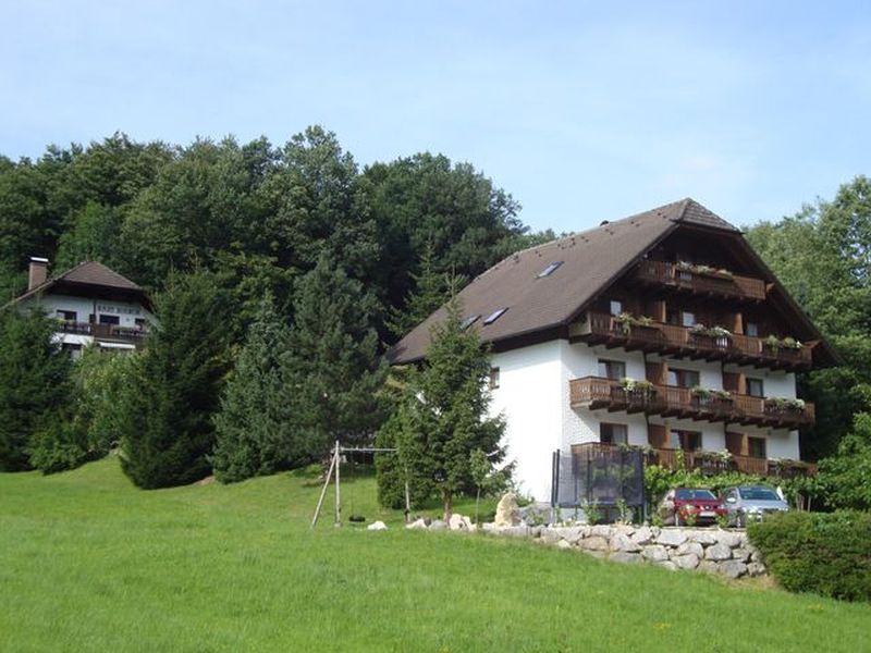 18984308-Ferienwohnung-5-Unterach am Attersee-800x600-0