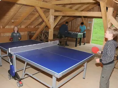 Ferienwohnung für 3 Personen (65 m²) in Unterach am Attersee 8/10