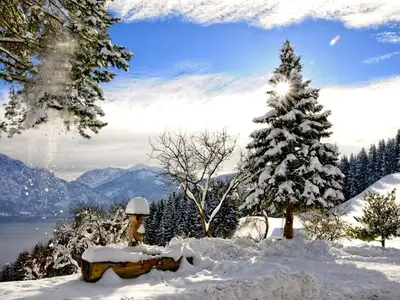 Ferienwohnung für 3 Personen (65 m²) in Unterach am Attersee 4/10