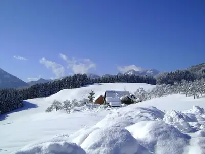Ferienwohnung für 3 Personen (65 m²) in Unterach am Attersee 5/10