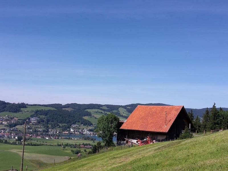 18667547-Ferienwohnung-5-Unterägeri-800x600-2