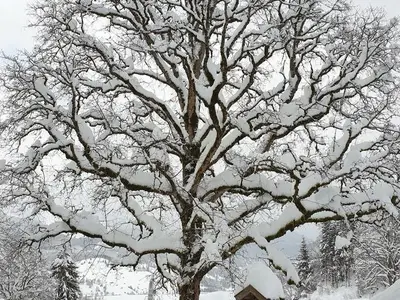Ferienwohnung für 9 Personen (140 m²) in Unterammergau 5/10