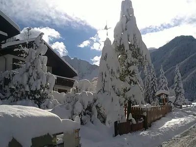 GardenWinter