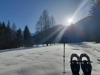 ExteriorWinter