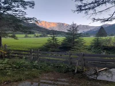 ViewSummer