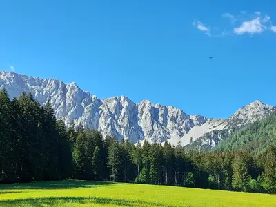 ViewSummer