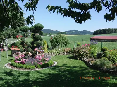 Garten.jpg