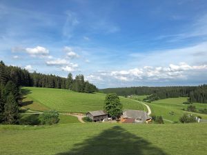 Ferienwohnung für 5 Personen (85 m&sup2;) in Unterkirnach
