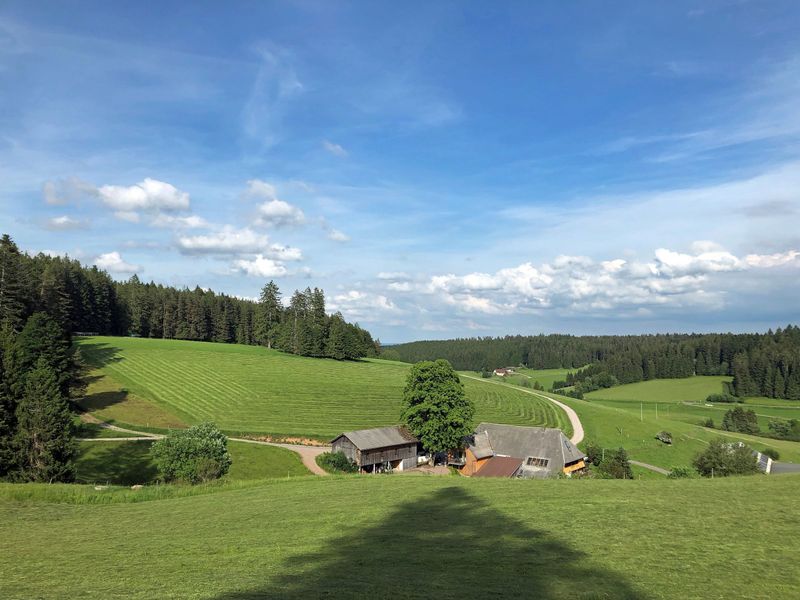 23161701-Ferienwohnung-5-Unterkirnach-800x600-0