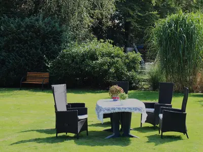 Garten mit Stühlen