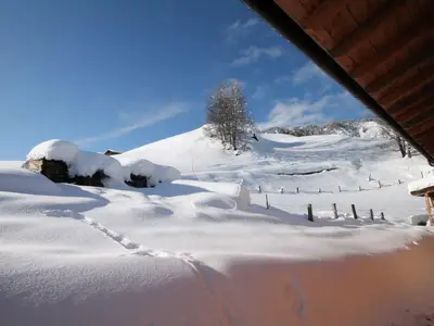 Verschneiter Hang hinter dem Haus