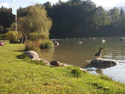 Schwimmen im Wössener See