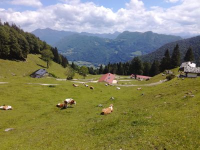 Almenwelt am Geigelstein in Schleching