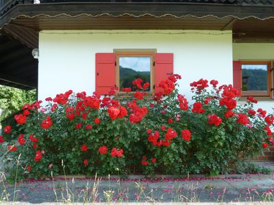 Haus an der Kräuterwiese