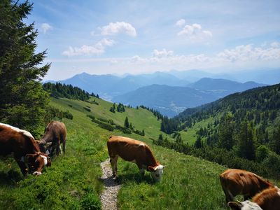 Wanderweg Haidenholzalm zur Rossalm