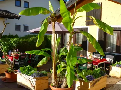 Terrasse, Sitzplatz Gäste