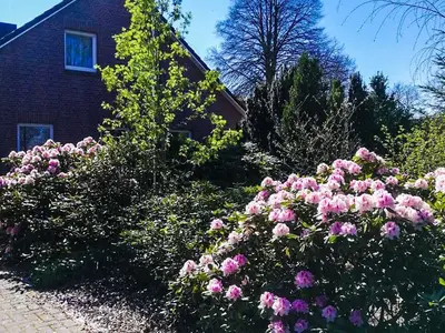 Ferienwohnung für 4 Personen (84 m²) in Stapel 3/10