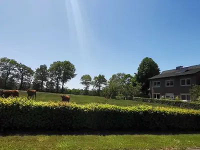 Ferienwohnung für 4 Personen (84 m²) in Stapel 5/10