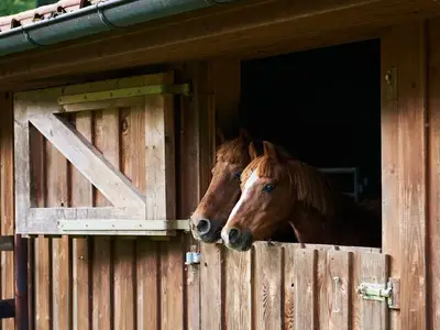 Ferienwohnung für 3 Personen (55 m²) in Uplengen 4/10