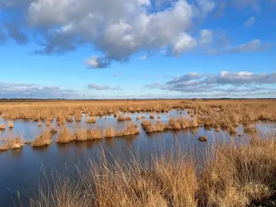 Ferienwohnung für 5 Personen (80 m²) in Uplengen 7/10