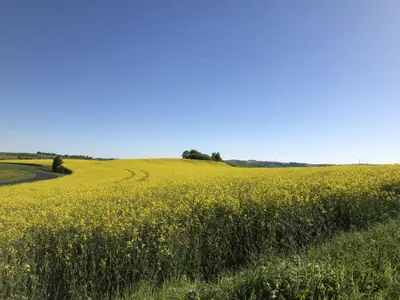 Naturlandschaft Uppershausen