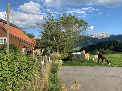 Aussicht Tiererlebnishof