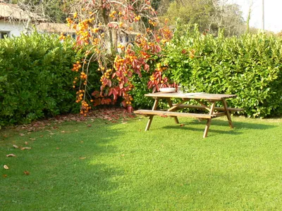 Ferienwohnung für 5 Personen (65 m²) in Urrugne 10/10