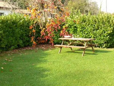 Ferienwohnung für 5 Personen (65 m²) in Urrugne 10/10