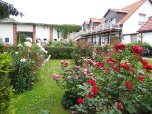 291650-Ferienwohnung-4-Usedom-300x225-2