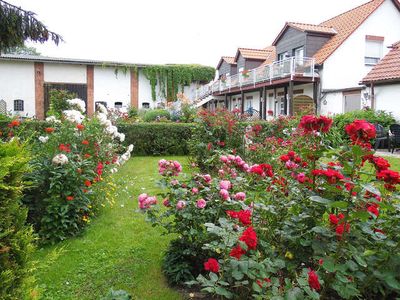 Ferienwohnung für 2 Personen (30 m²) in Usedom 3/10