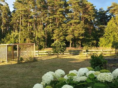 Ferienwohnung für 2 Personen (25 m²) in Usedom 6/10