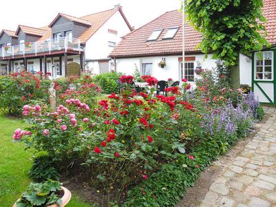 Ferienwohnung für 5 Personen (65 m²) in Usedom 4/10