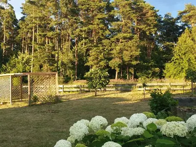 Ferienwohnung für 2 Personen (25 m²) in Usedom 6/10