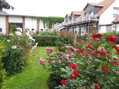 Ferienwohnung für 4 Personen (45 m²) in Usedom 3/10