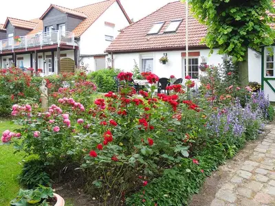 Ferienwohnung für 4 Personen (45 m²) in Usedom 4/10