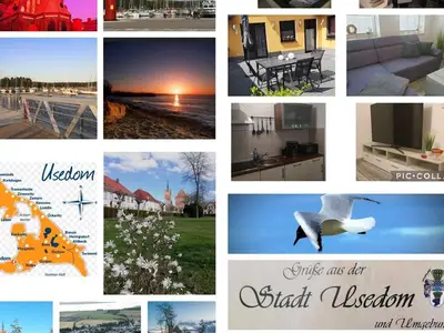 Ferienwohnung für 4 Personen (53 m²) in Usedom 1/10