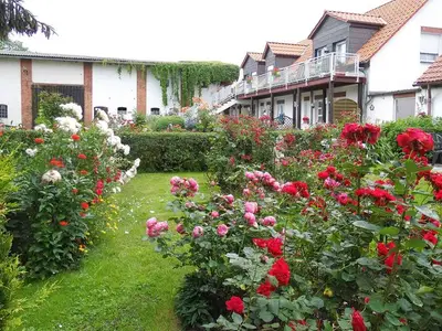Ferienwohnung für 2 Personen (30 m²) in Usedom 3/10