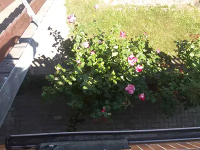 Ferienwohnung für 2 Personen (30 m²) in Usedom 4/10