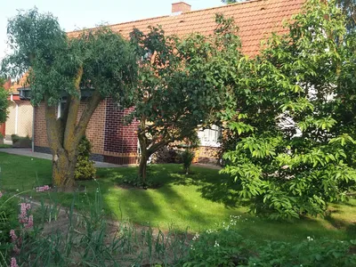 Ferienwohnung für 2 Personen (30 m²) in Usedom 7/10