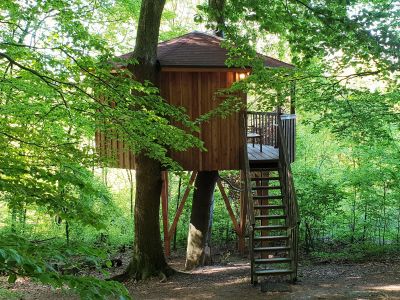 Baumhaus Rundhaus mit viel Grün.