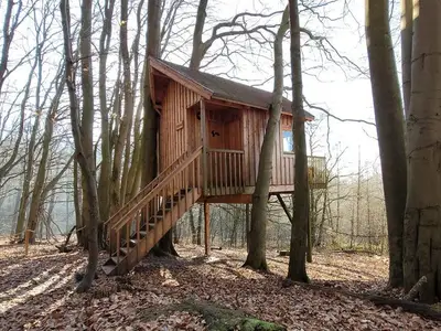 Ferienwohnung für 3 Personen (25 m²) in Uslar 2/10