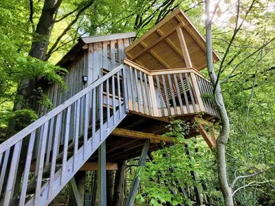 Ferienwohnung für 3 Personen (25 m²) in Uslar 10/10