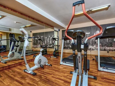fitness