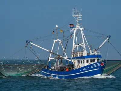 Ferienwohnung für 4 Personen (80 m²) in Utarp 10/10