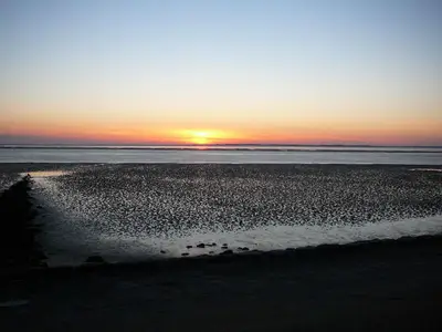 Ferienwohnung für 2 Personen (50 m²) in Utersum 7/10