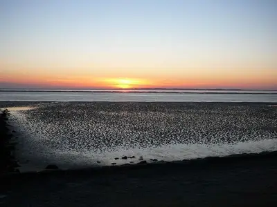 Ferienwohnung für 2 Personen (50 m²) in Utersum 8/10