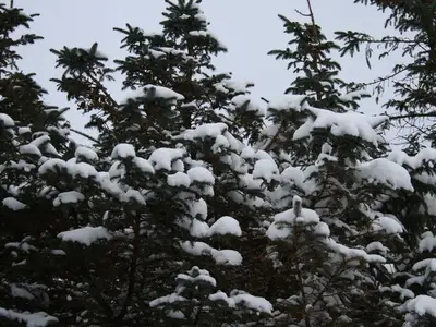 Ferienwohnung für 3 Personen (45 m²) in Utersum 6/10