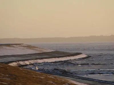 Ferienwohnung für 3 Personen (45 m²) in Utersum 8/10